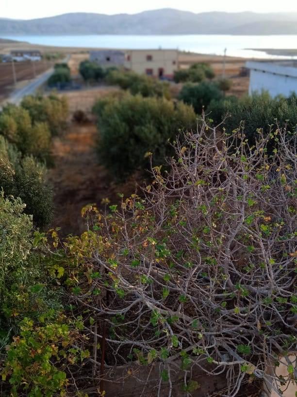 Marwa Moustakim's background photo Marwa Moustakim's backgound photo