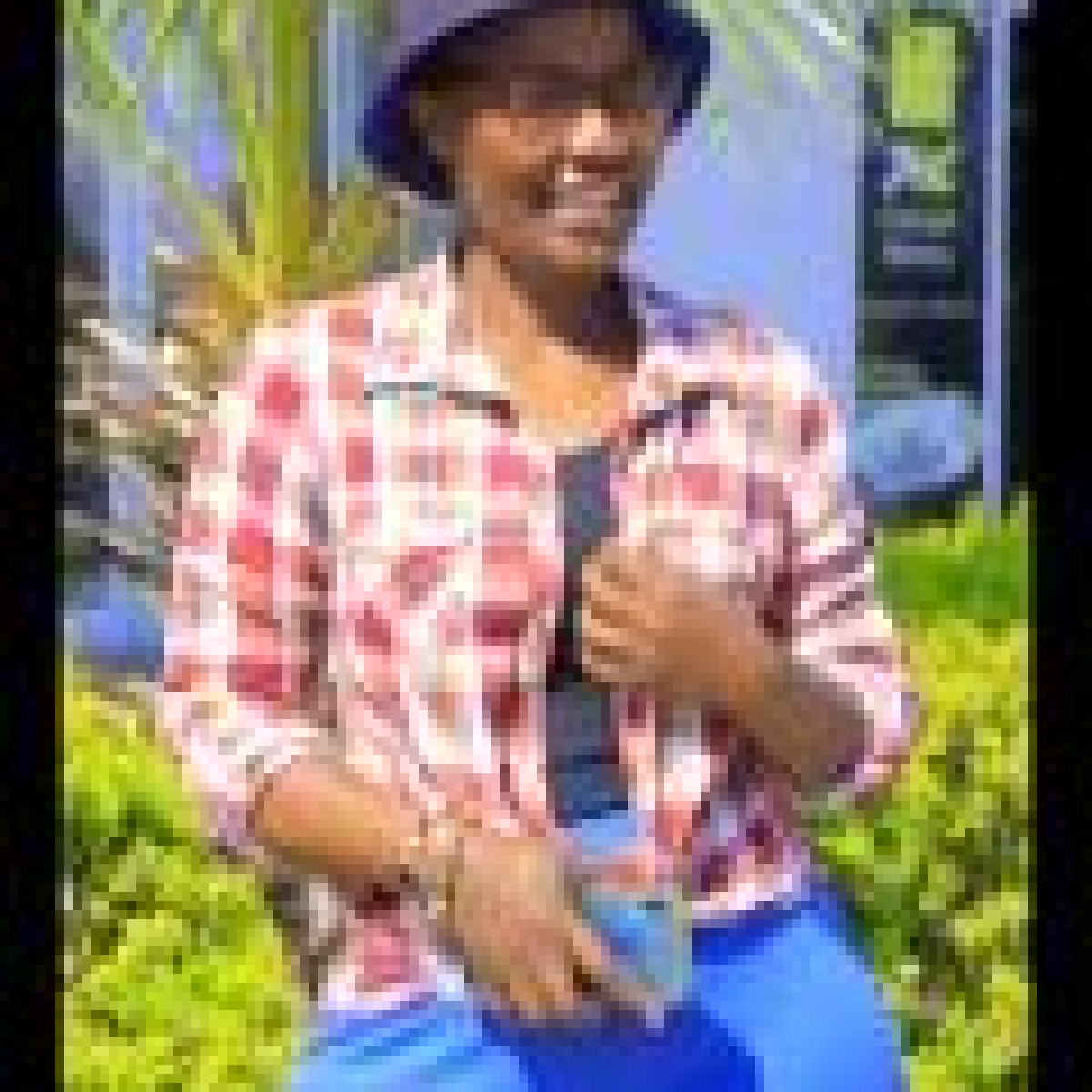 Lesang moiteela