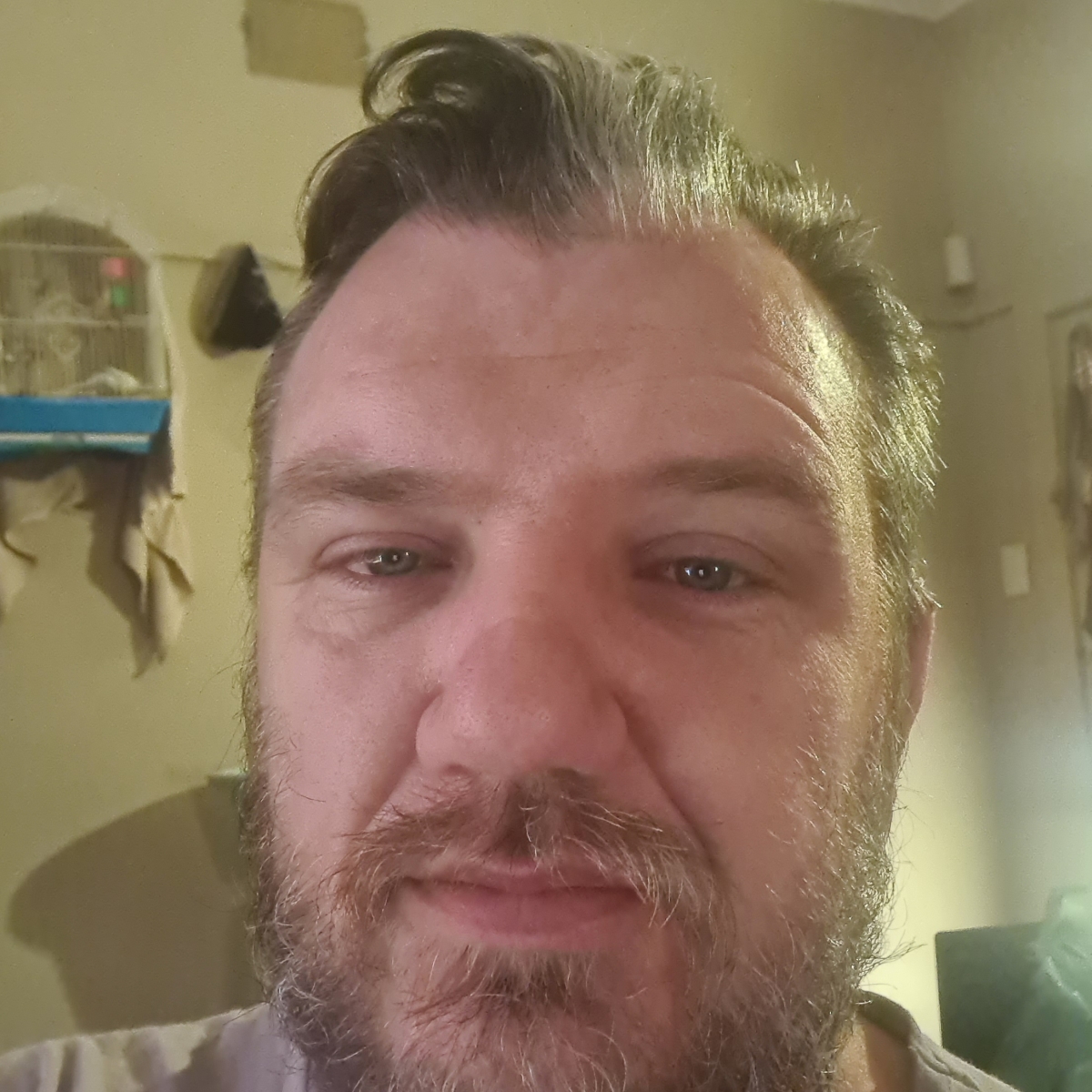 Schalk Jansen