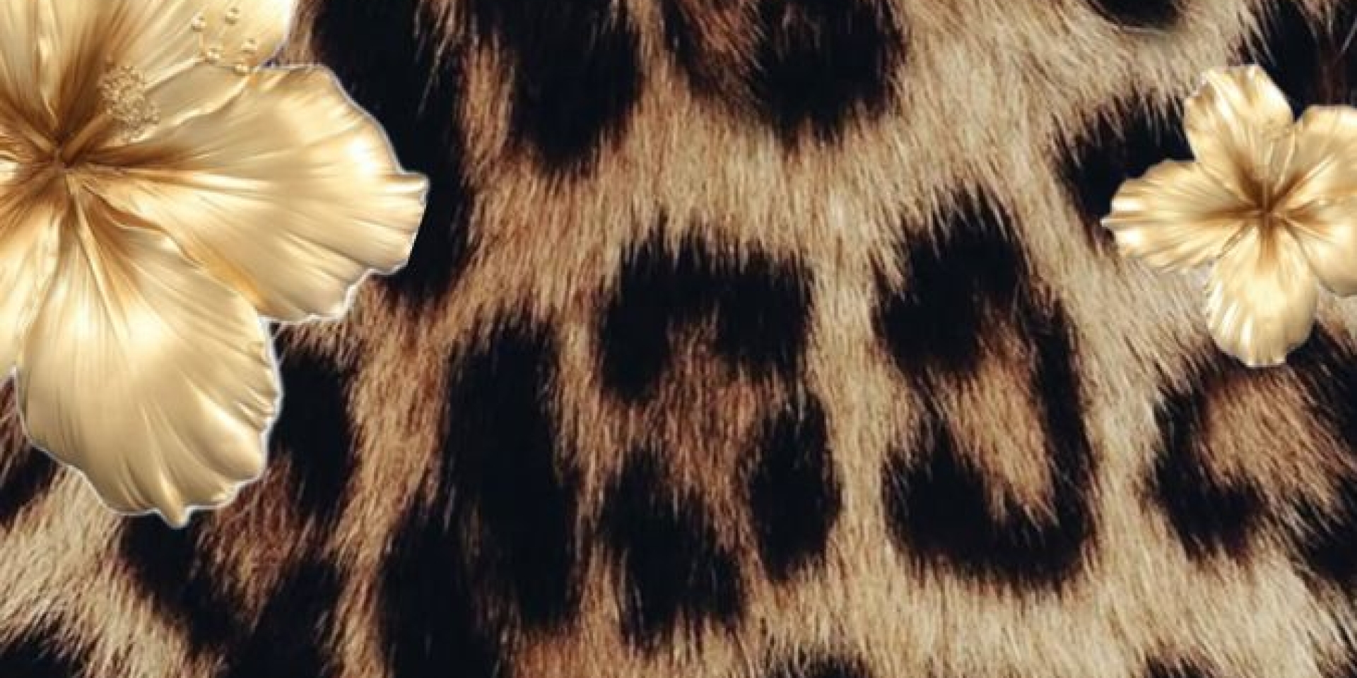 Saskya Moon's background photo
